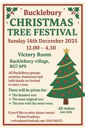 Society entry to the Christmas Tree Festival